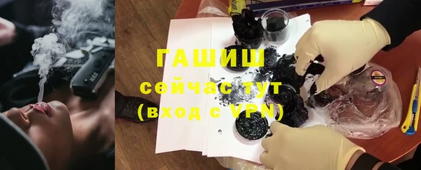 хмурый Алексин