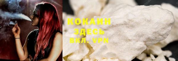 хмурый Алексин