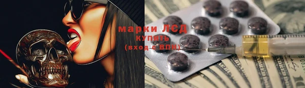 хмурый Алексин