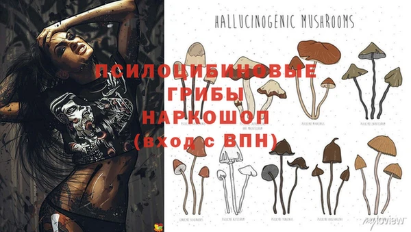 эйфоретик Алексеевка