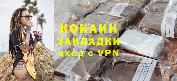 хмурый Алексин