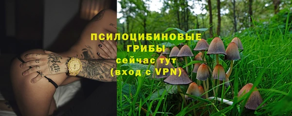 бутират Алзамай