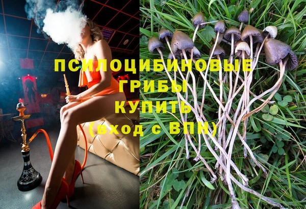 эйфоретик Алексеевка