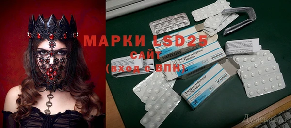 хмурый Алексин