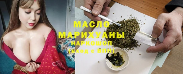 хмурый Алексин